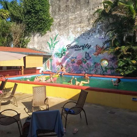 Butterfly Hostel Puerto Iguazú Dış mekan fotoğraf
