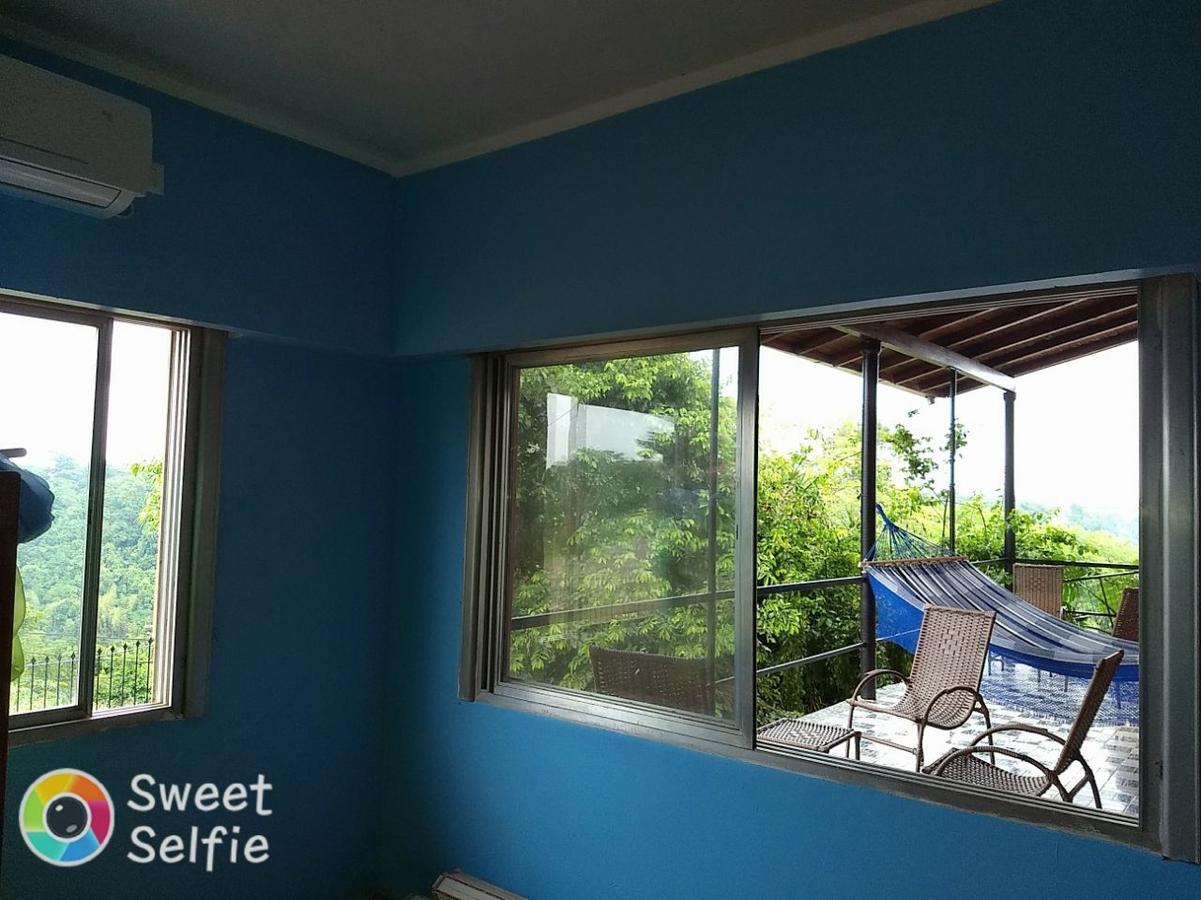 Butterfly Hostel Puerto Iguazú Dış mekan fotoğraf