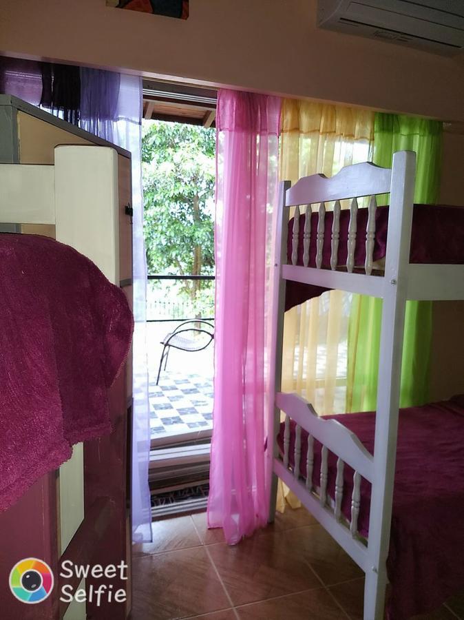 Butterfly Hostel Puerto Iguazú Dış mekan fotoğraf