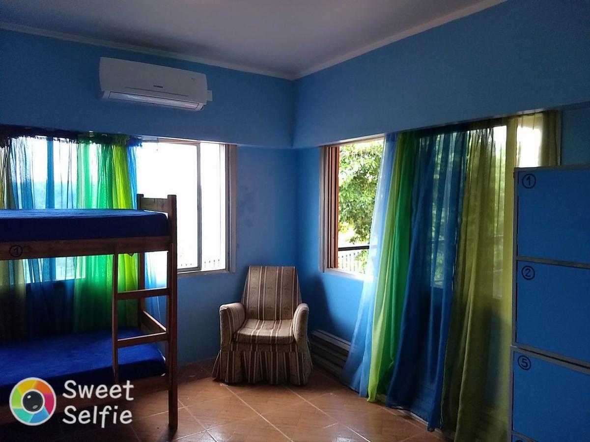 Butterfly Hostel Puerto Iguazú Dış mekan fotoğraf