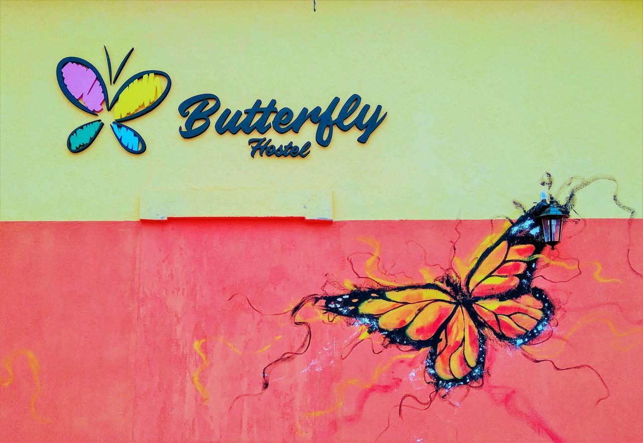Butterfly Hostel Puerto Iguazú Dış mekan fotoğraf
