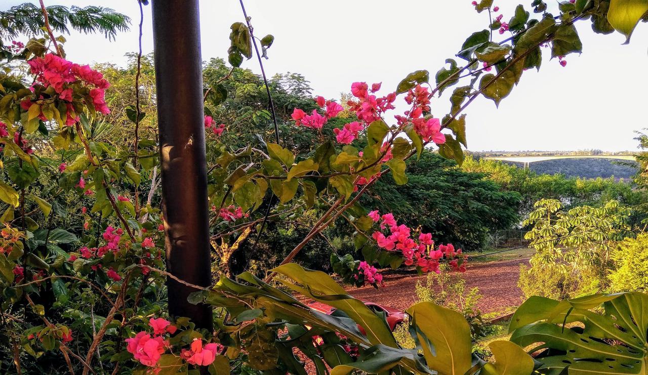Butterfly Hostel Puerto Iguazú Dış mekan fotoğraf