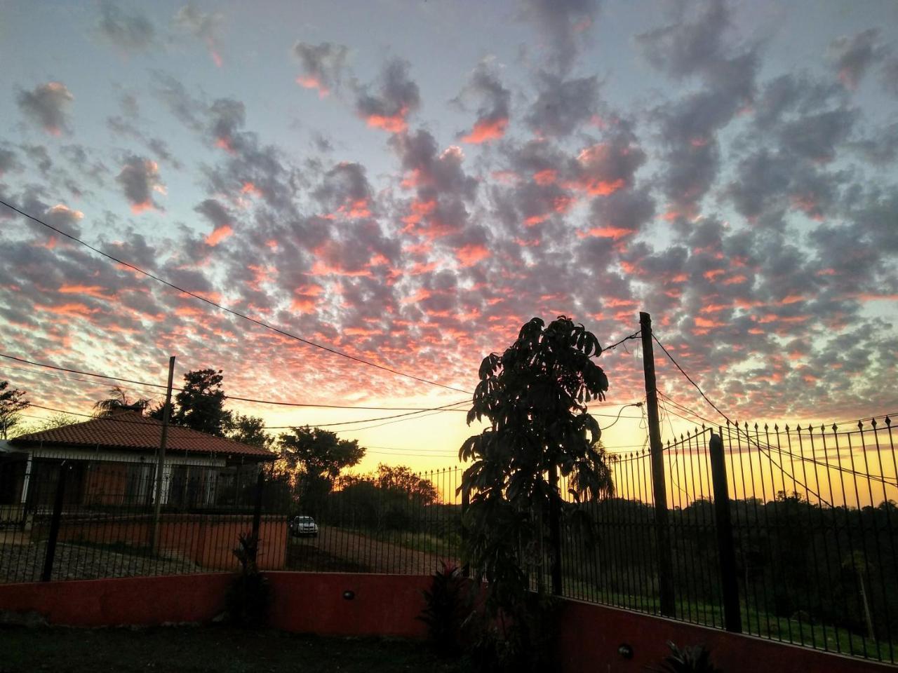 Butterfly Hostel Puerto Iguazú Dış mekan fotoğraf