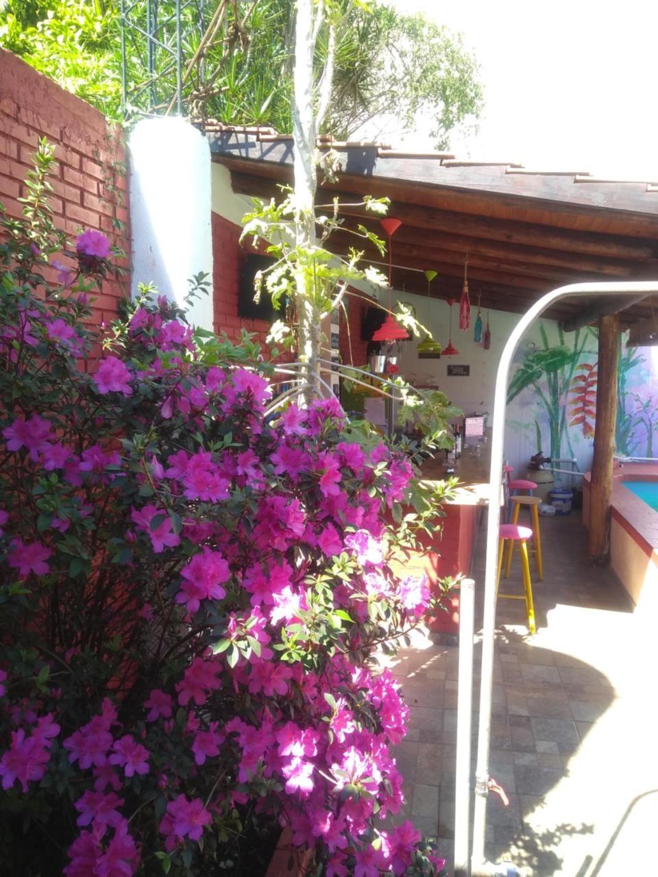 Butterfly Hostel Puerto Iguazú Dış mekan fotoğraf