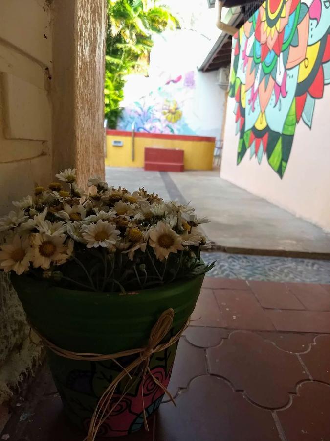 Butterfly Hostel Puerto Iguazú Dış mekan fotoğraf